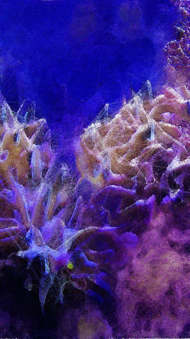 Machine Hallucinations - Coral - Generative AI Data Painting C thumbnail