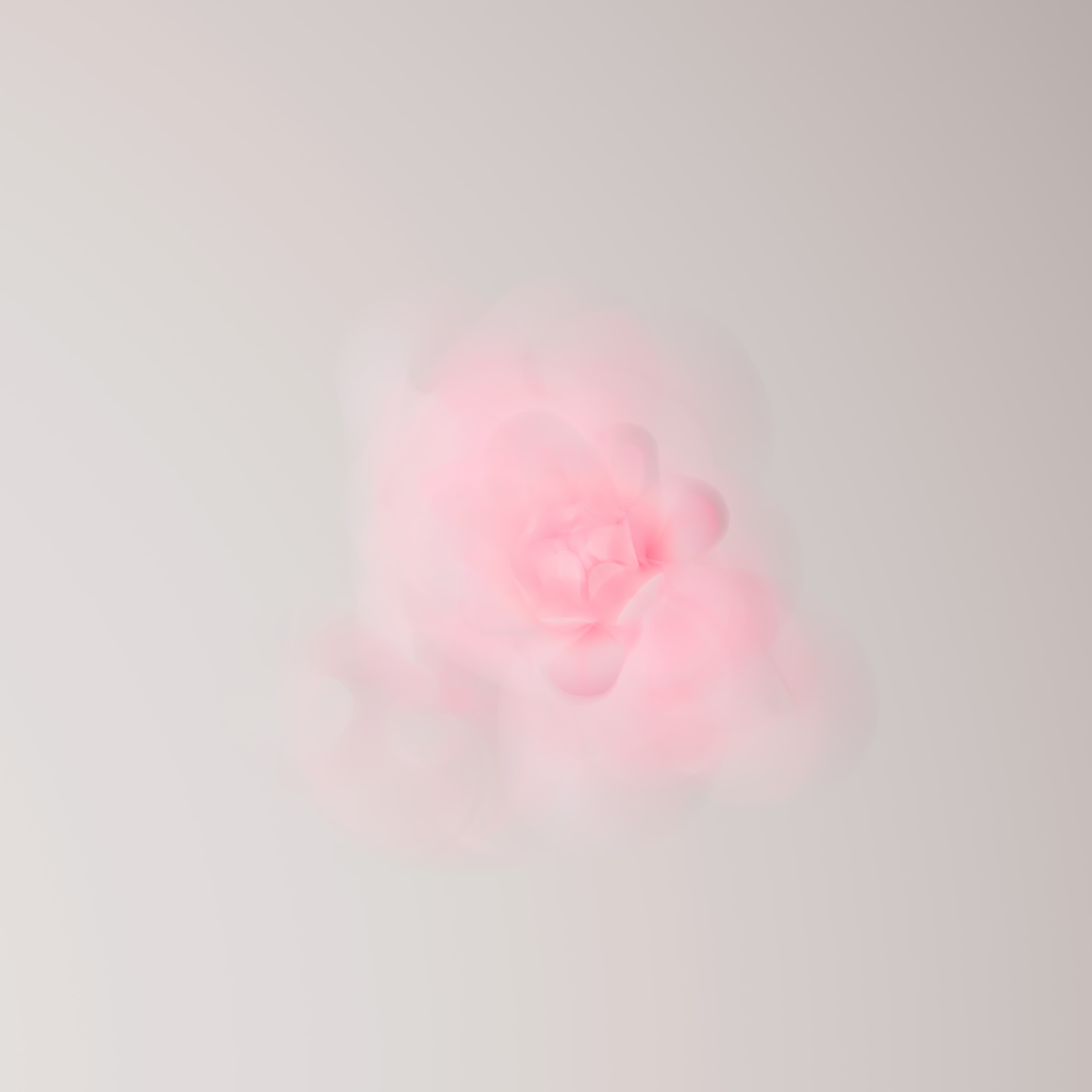 Florescence cover