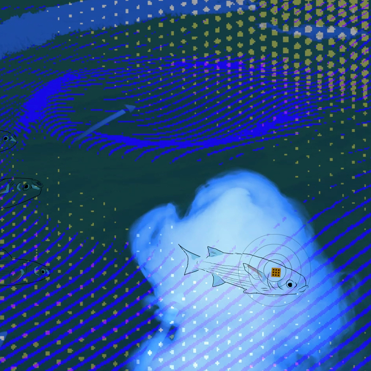 OOzy (study for Oceans Like Us: Wet Logic) thumbnail