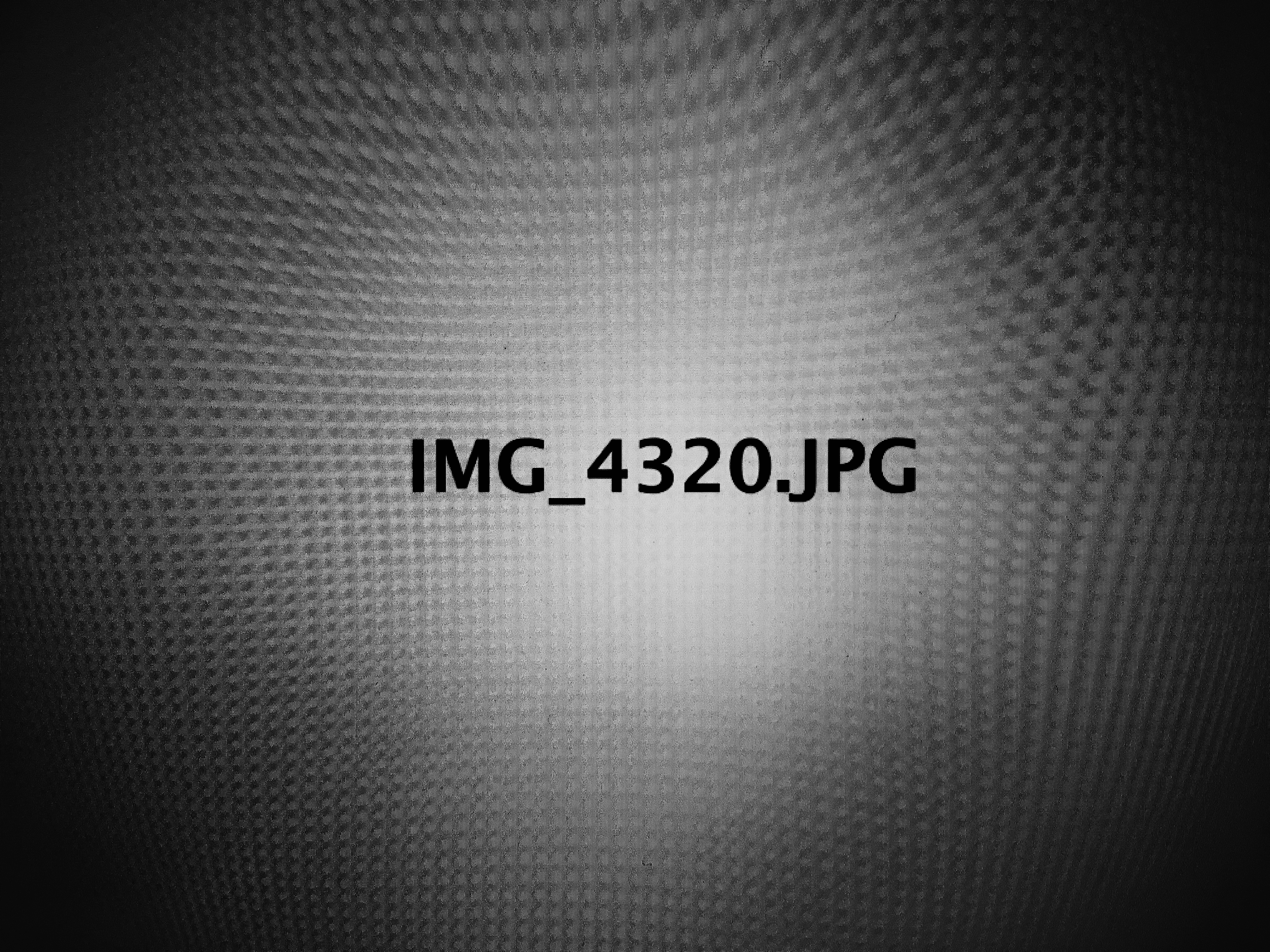 IMG_4320.jpg by Niko Princen