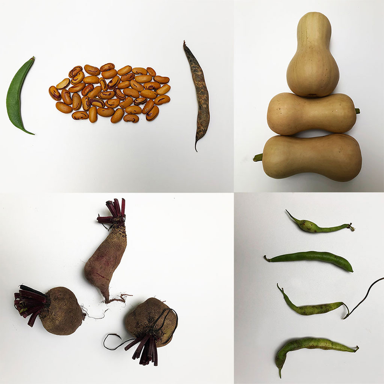 Edible HTML thumbnail