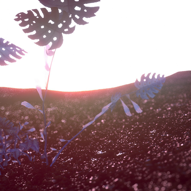 Cyanotype Plant Sketch thumbnail