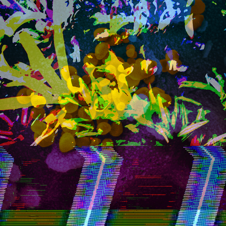 Anti-Body thumbnail