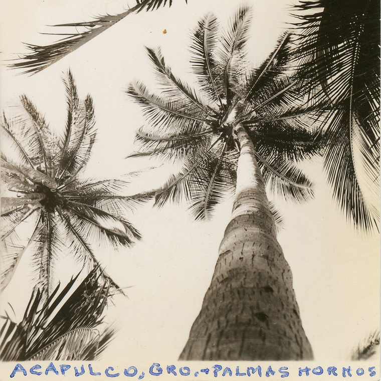 Acapulco,palmas thumbnail