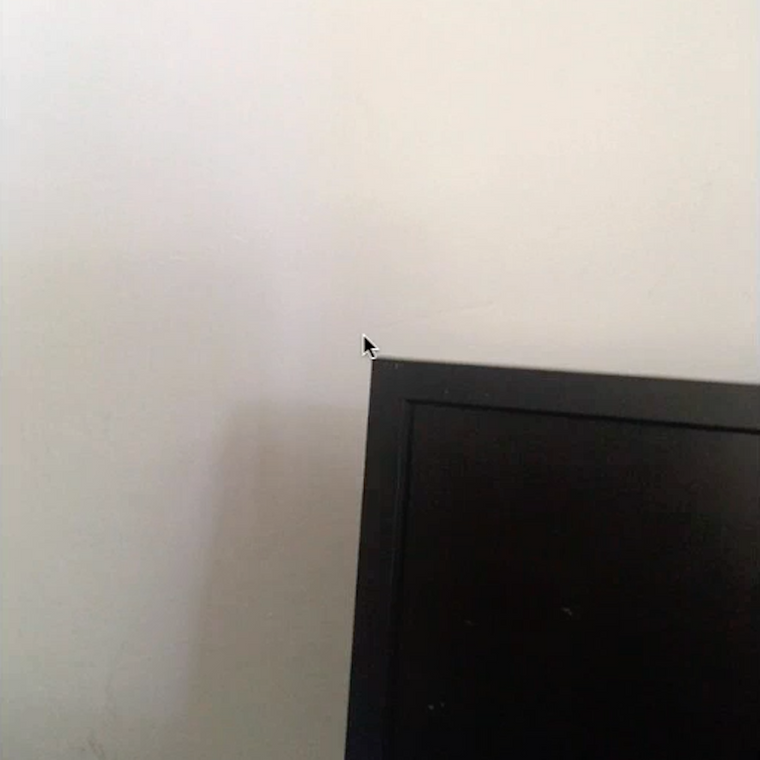 bug thumbnail